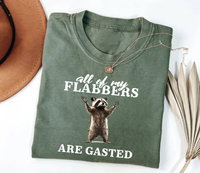 All of My Flabbers Are Gasted Short Sleeve T-Shirt, Funny Raccoon Shirt