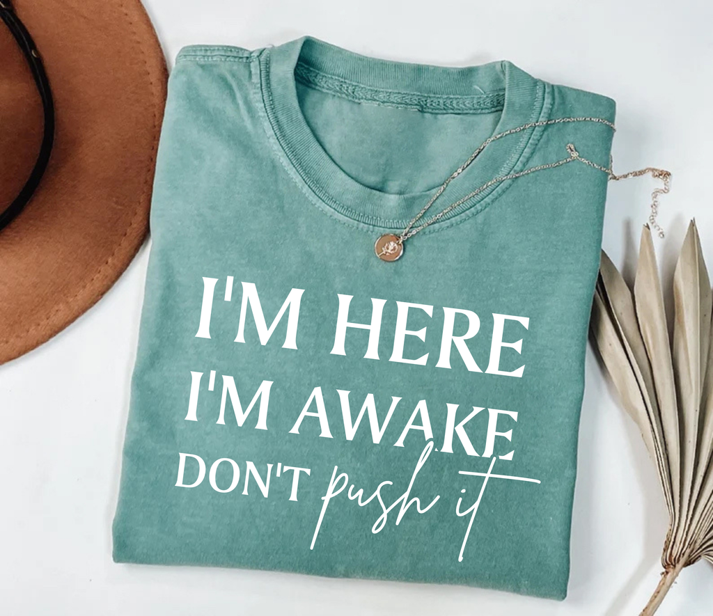 I'm Here I'm Awake Don't Push It Short Sleeve T-Shirt, Funny Gamer Shirt