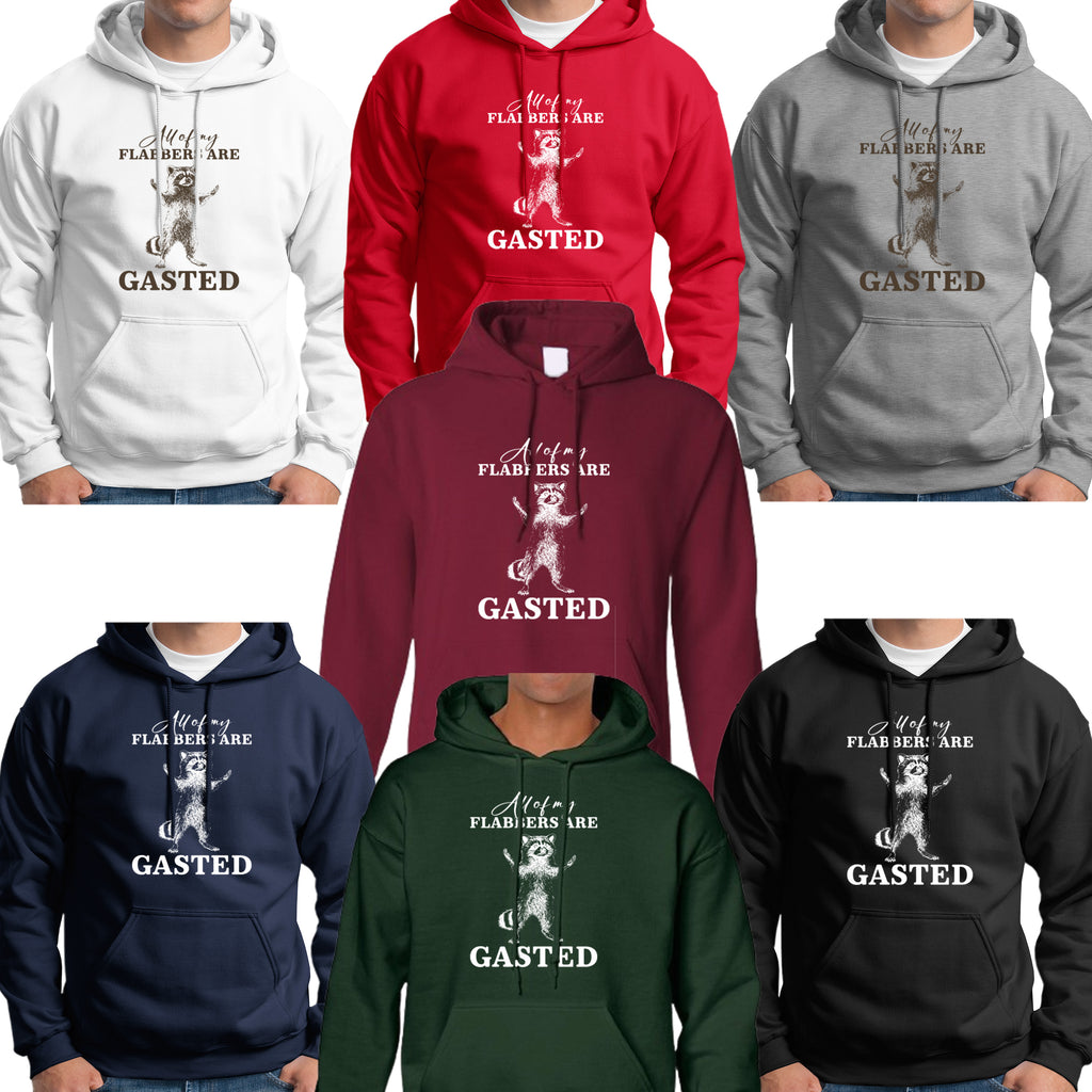 All of My Flabbers Are Gasted Hoodie, Funny Raccoon Hoodie