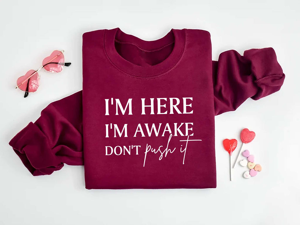 I'm Here I'm Awake Don't Push It Sweatshirt, Funny Gamer Apparel