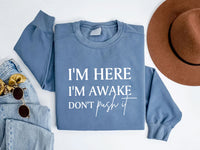 I'm Here I'm Awake Don't Push It Sweatshirt, Funny Gamer Apparel