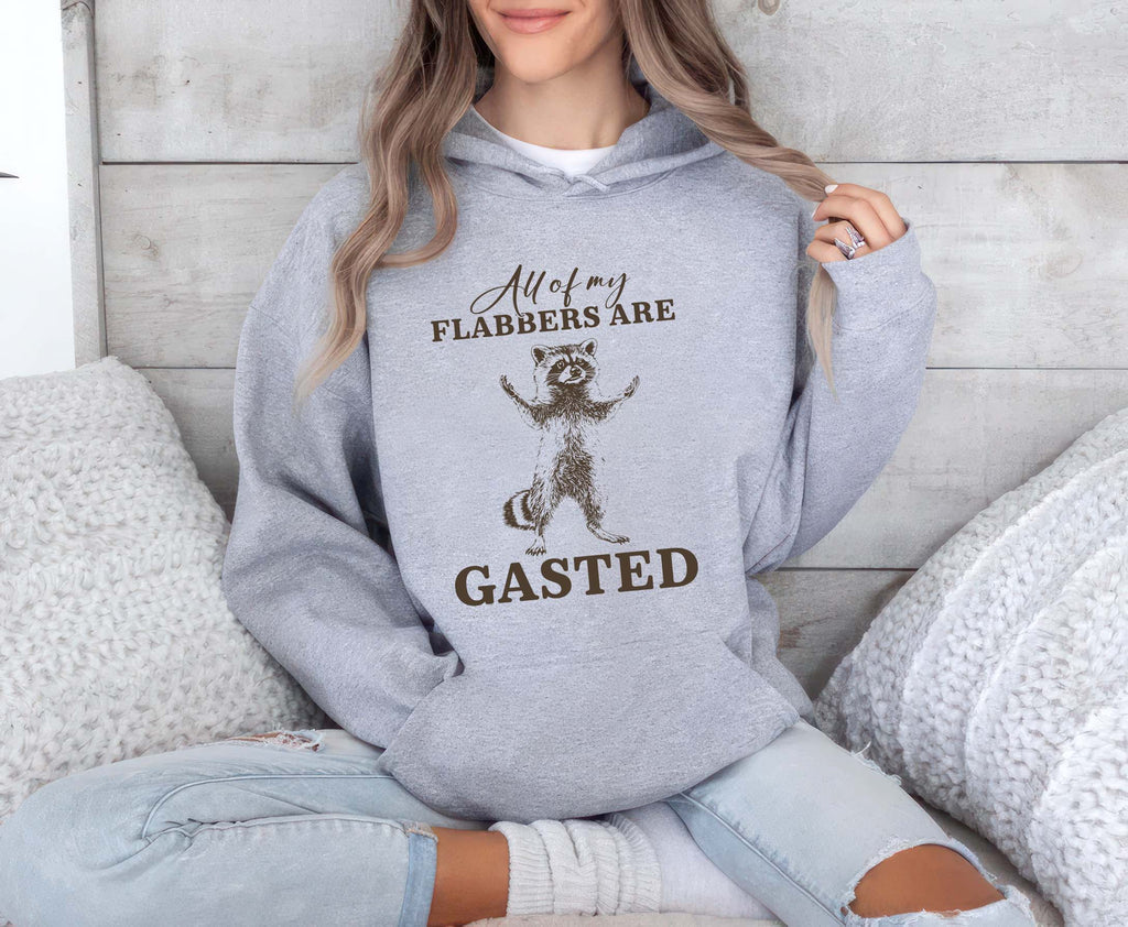 All of My Flabbers Are Gasted Hoodie, Funny Raccoon Hoodie