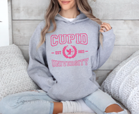 Cupid University Hoodie, Cute Valentine's Day Graphic Hoodie