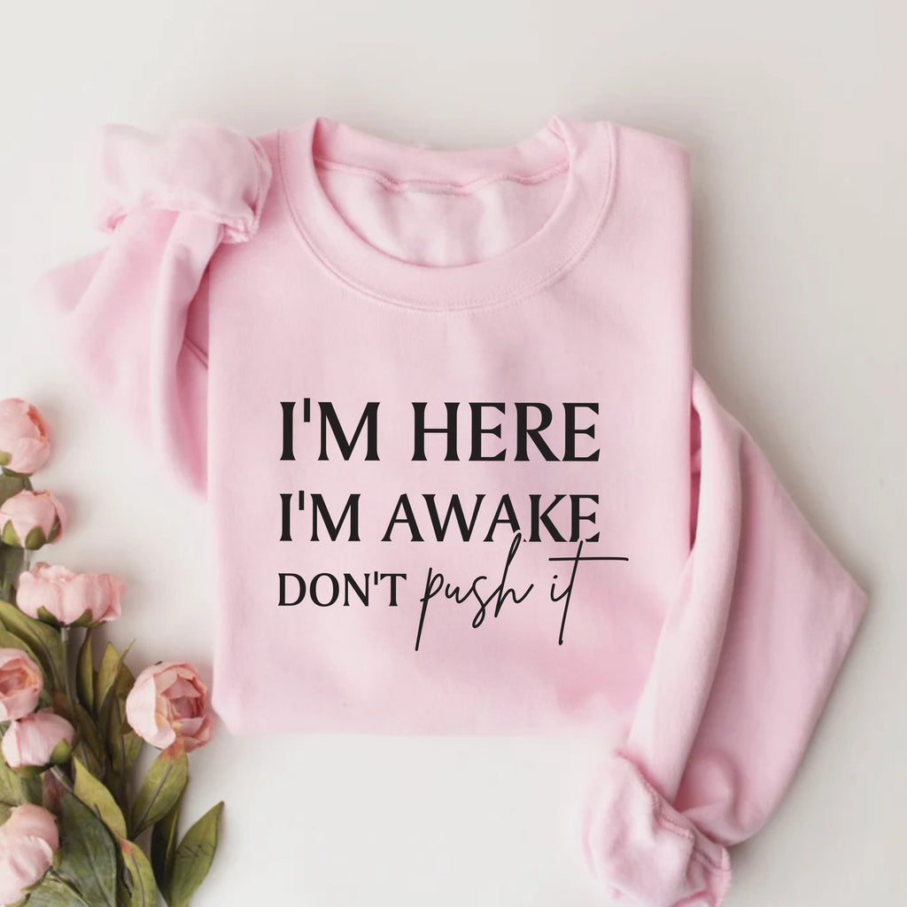 I'm Here I'm Awake Don't Push It Sweatshirt, Funny Gamer Apparel