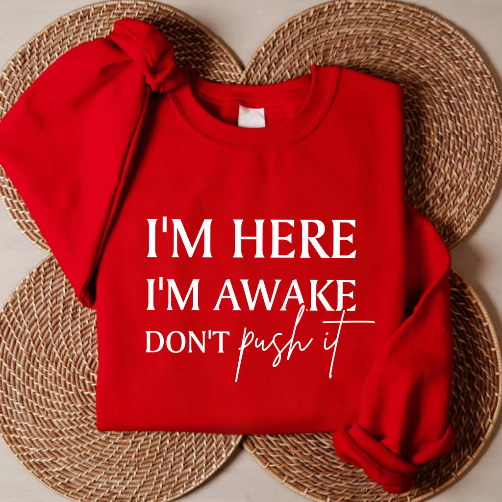 I'm Here I'm Awake Don't Push It Sweatshirt, Funny Gamer Apparel