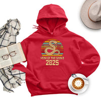 Vintage Year of the Snake Hoodie, 2025 Chinese New Year Hoodie