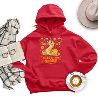 Year of the Snake Hoodie, 2025 Chinese New Year Hoodie