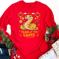 Year of the Snake Long Sleeve Shirt, Chinese New Year 2025 Shirt