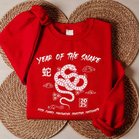 Year of the Snake Sweatshirt, 2025 Chinese New Year Sweatshirt