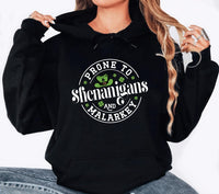 Prone to Shenanigans & Malarkey Hoodie, St. Paddy's Gift