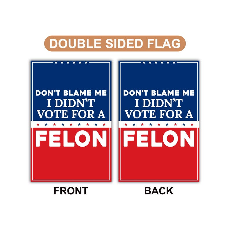 Don't Blame Me I Didn't Vote for A Felon Garden Flag, Double Sided, Resist Hate, Anti-Trump, Resist Racism, Resist Fascism Flag